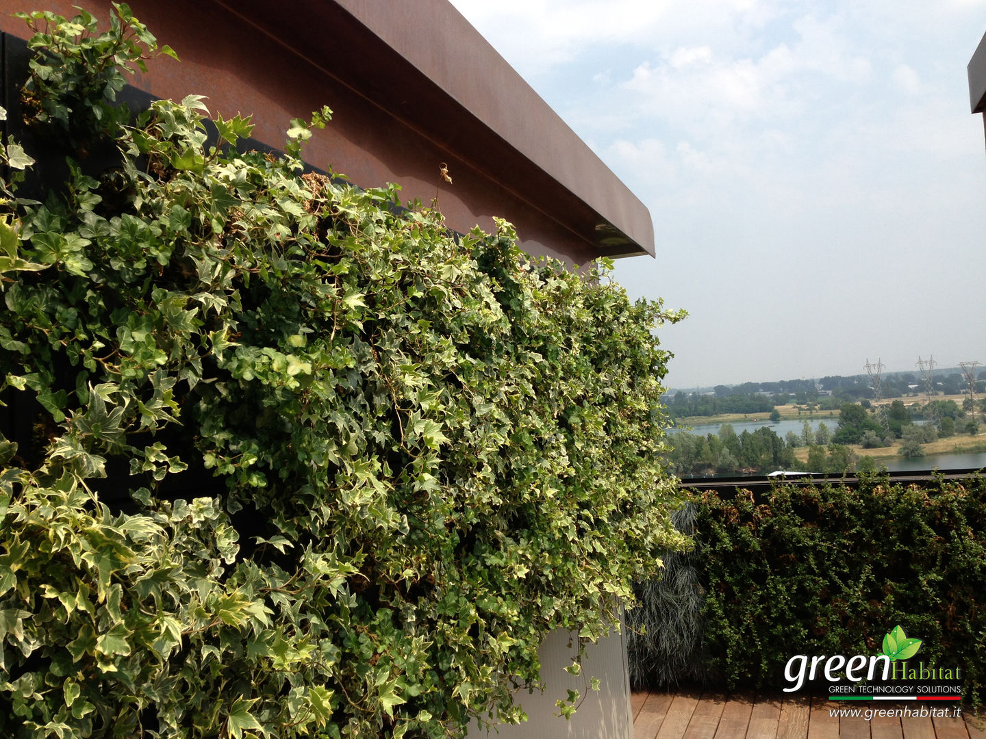Giardino Verticale Interno: la Suggestione delle Pareti Verdi in Casa