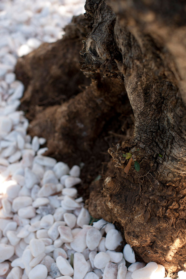 Jardim Miramar - SHI Studio Interior Design homify Kayalı bahçe shistudio,projeto,jardim,shi studio,exterior,porto,sheila moura azevedo