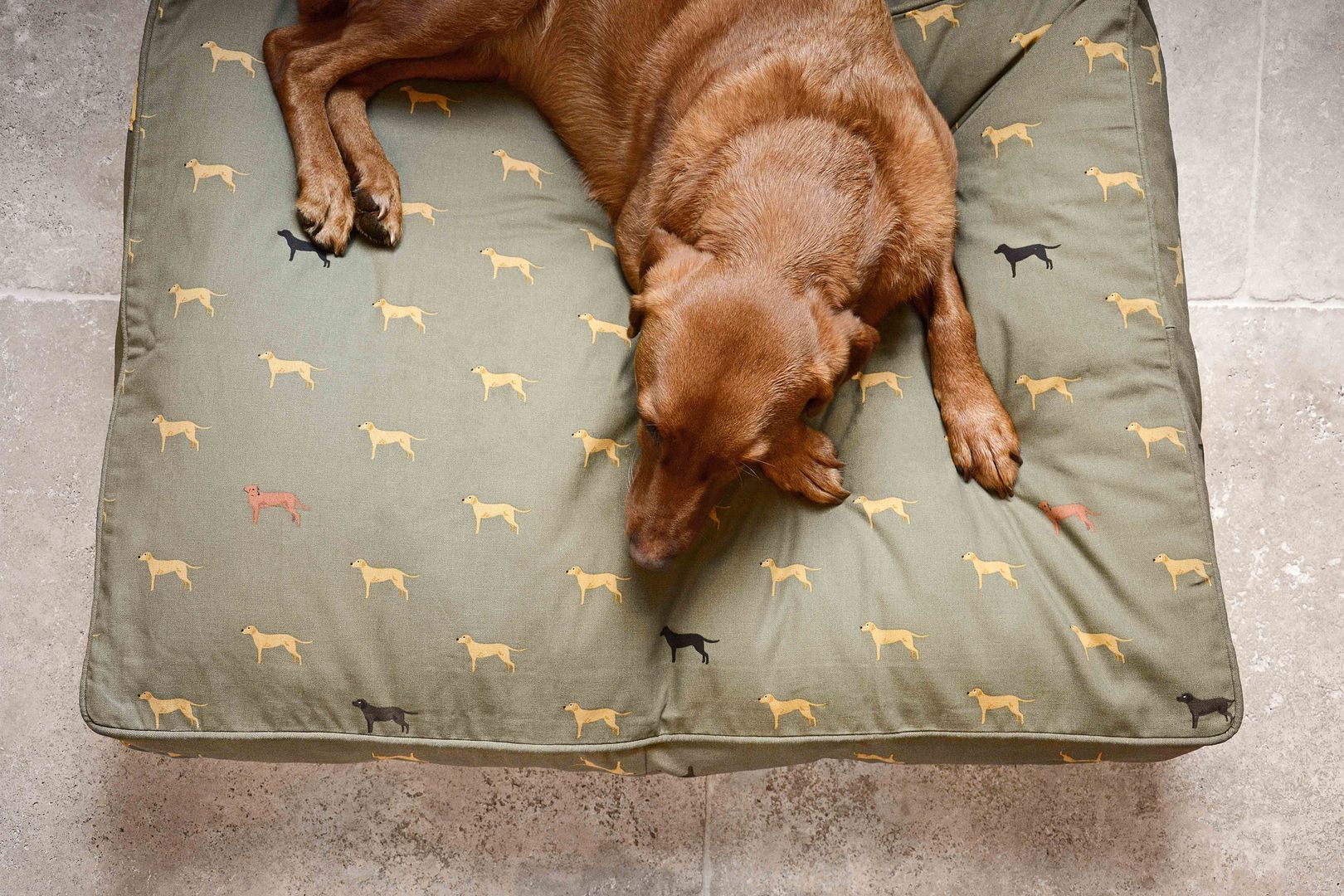 Sophie Allport Fab Labs Pet Beds Sophie Allport Các phòng khác Bông Red pet,animal,dog,labrador,Pet accessories