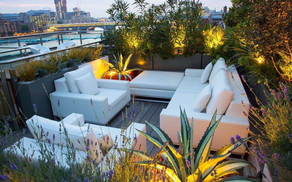 Roof terrace planting design ideas MyLandscapes بلكونة أو شرفة roof,terrace,planting,ideas,inspiration,rooftop,landscape,designers,contemporary,london,landscapers