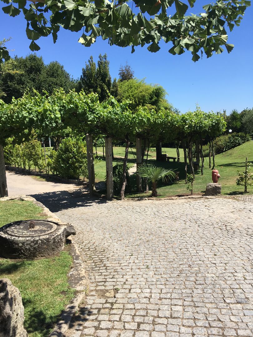 Quinta de Eventos - Avioso, Viveiros da Boa Nova, Lda Viveiros da Boa Nova, Lda Jardines de estilo clásico