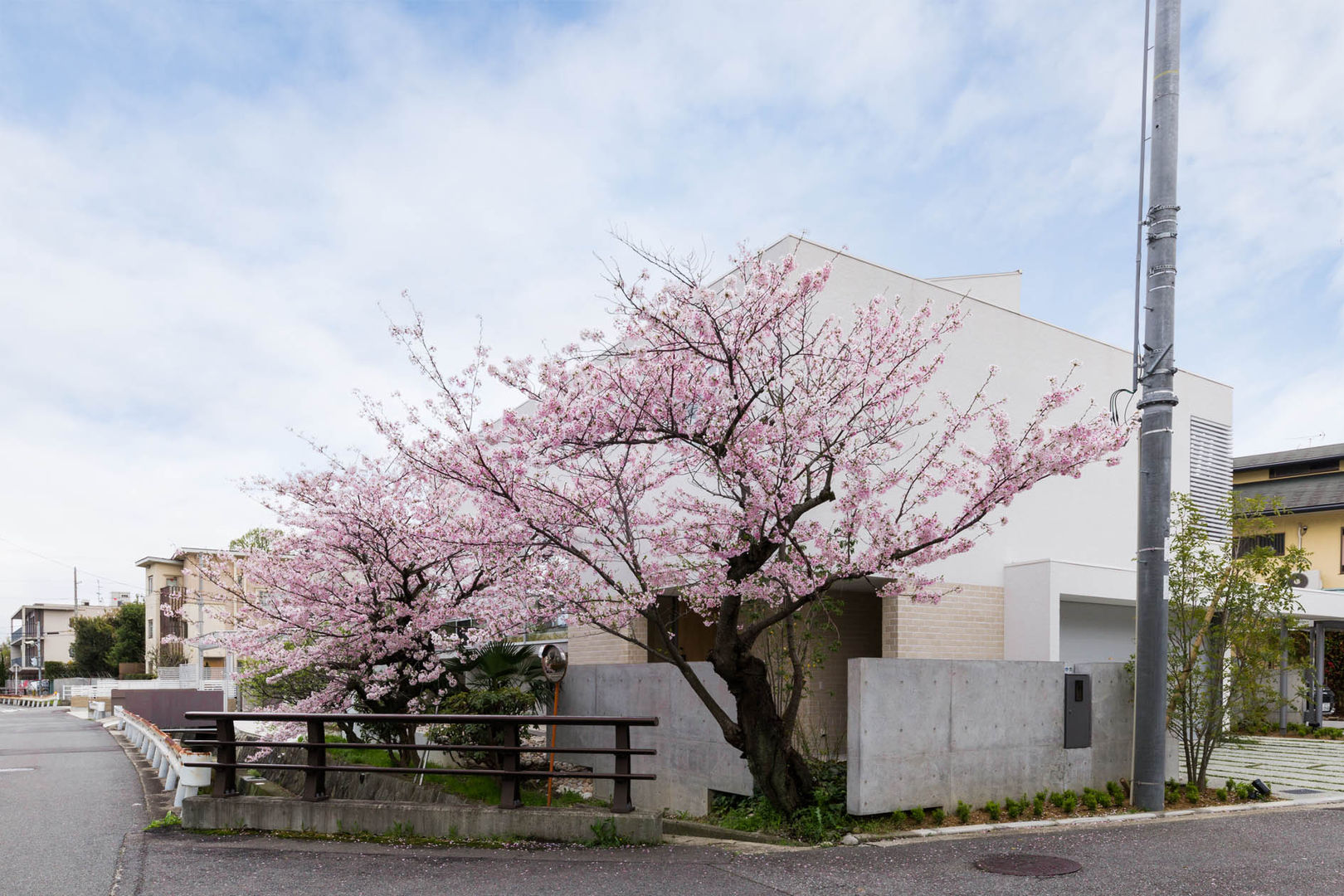 桜と暮らす家, Kenji Yanagawa Architect and Associates Kenji Yanagawa Architect and Associates منازل أسمنت