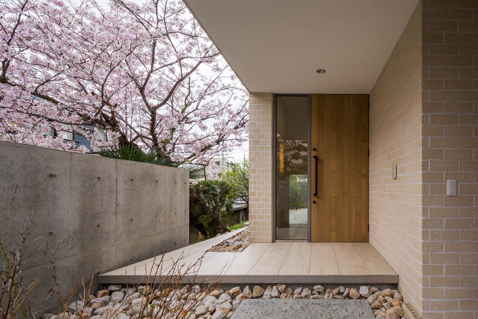 桜と暮らす家, Kenji Yanagawa Architect and Associates Kenji Yanagawa Architect and Associates ห้องโถงทางเดินและบันไดสมัยใหม่ กระเบื้อง