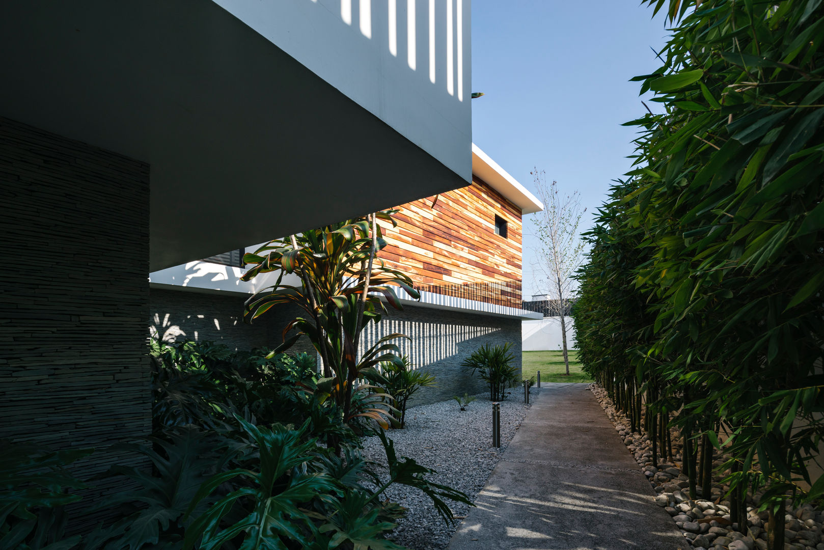 Casa Nochebuena, Dionne Arquitectos Dionne Arquitectos ミニマルな 庭 木 木目調