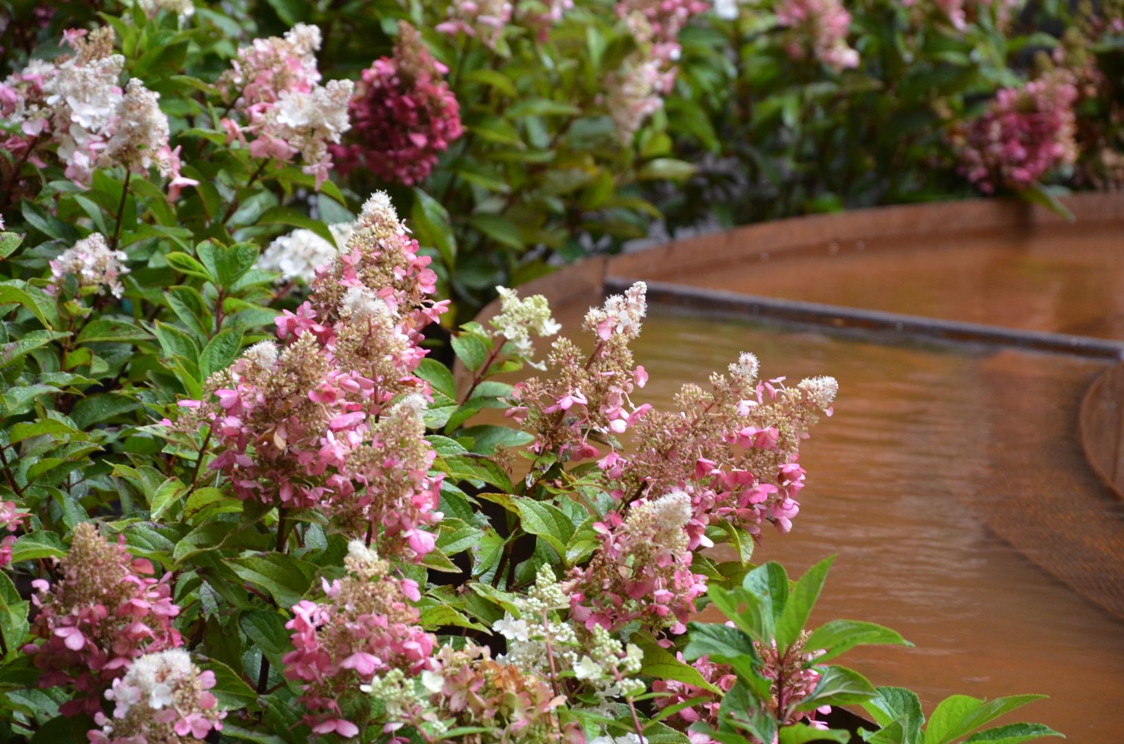 Il Giardino dei Sensi, LUCIA PANZETTA - PAESAGGISTA LUCIA PANZETTA - PAESAGGISTA Modern Garden