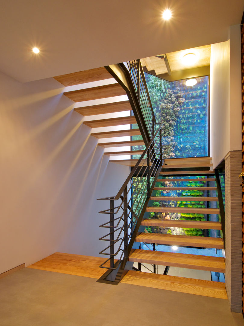 JACARANDAS HOUSE, Hernandez Silva Arquitectos Hernandez Silva Arquitectos Stairs