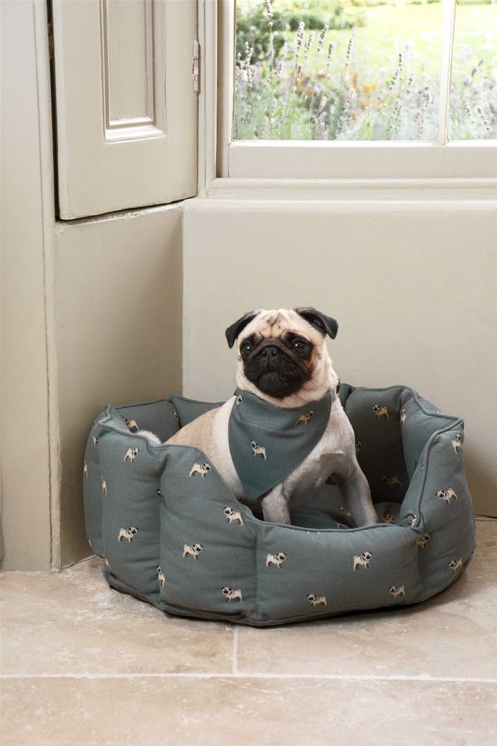 Sophie Allport Pug Bed and Neckerchief Sophie Allport غرف اخرى اكسسوارات الحيوانات الاليفة