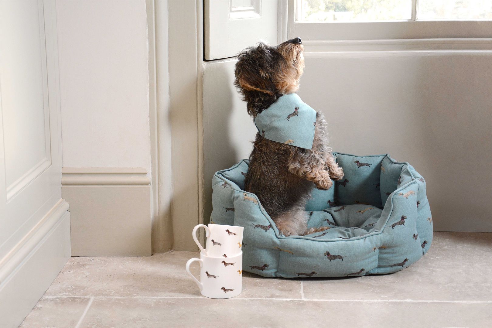 Sophie Allport Dachshund Collection Sophie Allport Other spaces Pet accessories