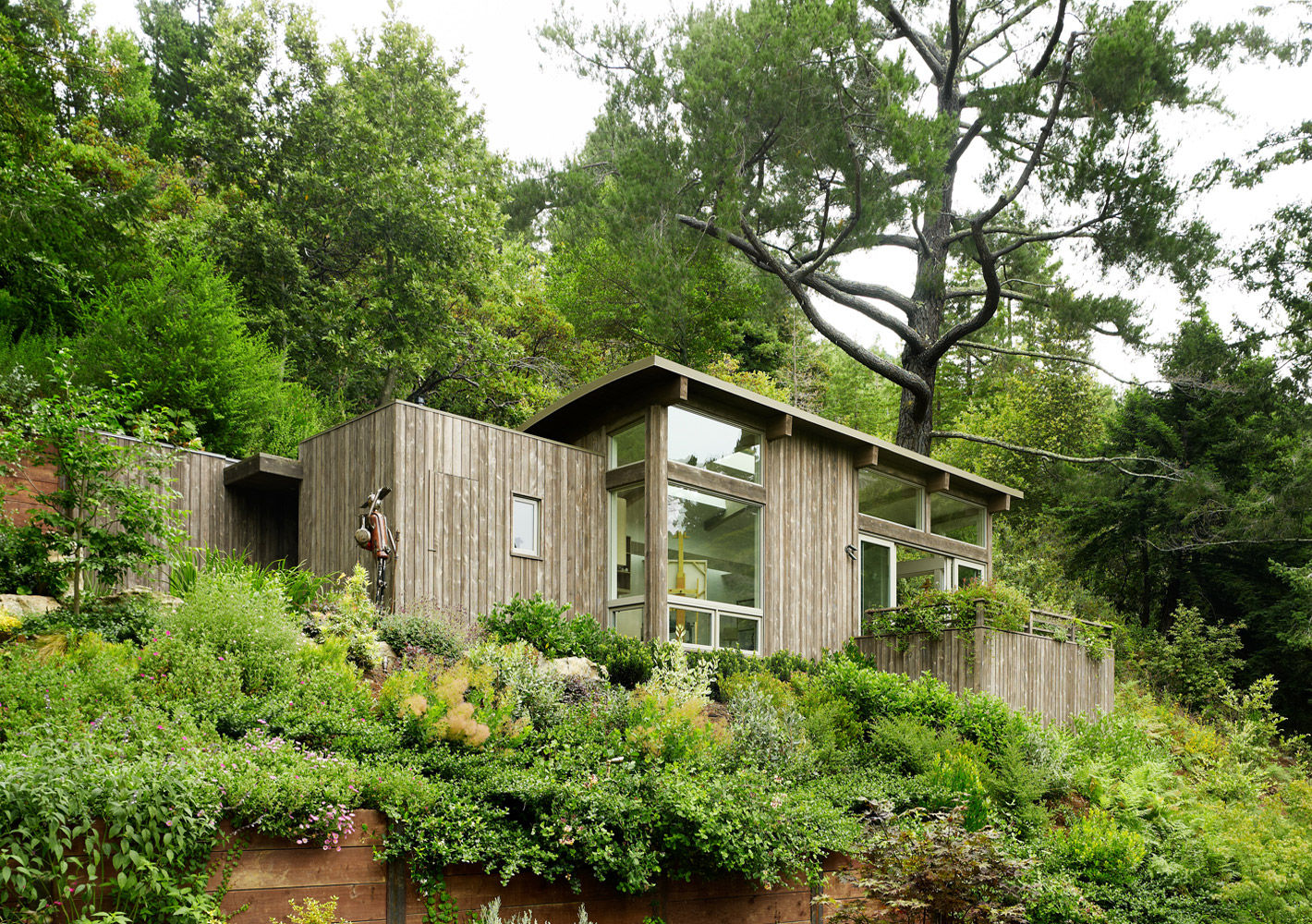 Mill Valley Cabins, Feldman Architecture Feldman Architecture Casas de estilo moderno