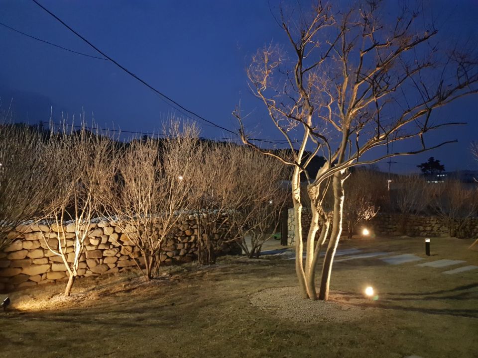 주택정원_부산 기장군 단독주택 정원 프로젝트, (주)정원디자인더숲 (주)정원디자인더숲 สวน