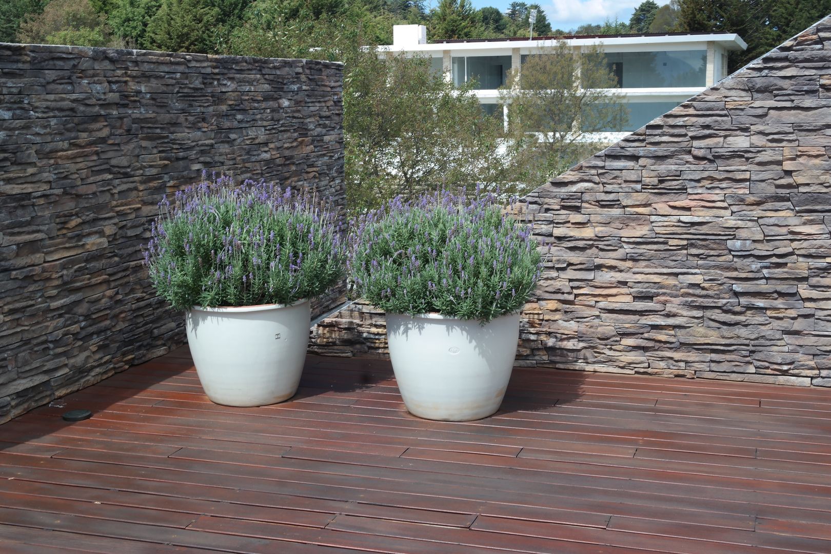 Roof garden Verde Lavanda Jardines frontales Madera Acabado en madera