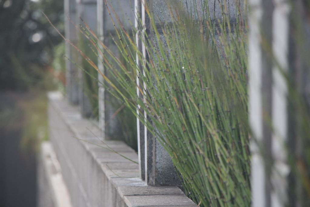 Rumah Tinggal Mewah di Semarang, Paulus Adi Budianto Paulus Adi Budianto Minimalist style garden