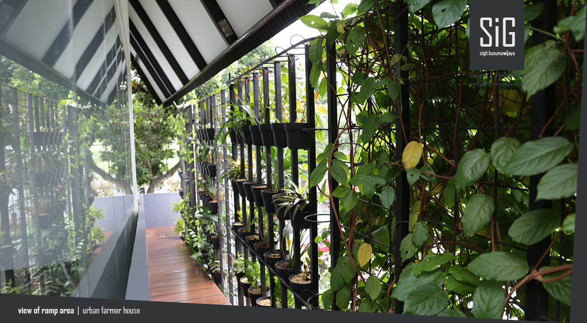 Rumah Kebun Mandiri Pangan (Food Self-Sufficiency House), sigit.kusumawijaya | architect & urbandesigner sigit.kusumawijaya | architect & urbandesigner Minimalist corridor, hallway & stairs Iron/Steel