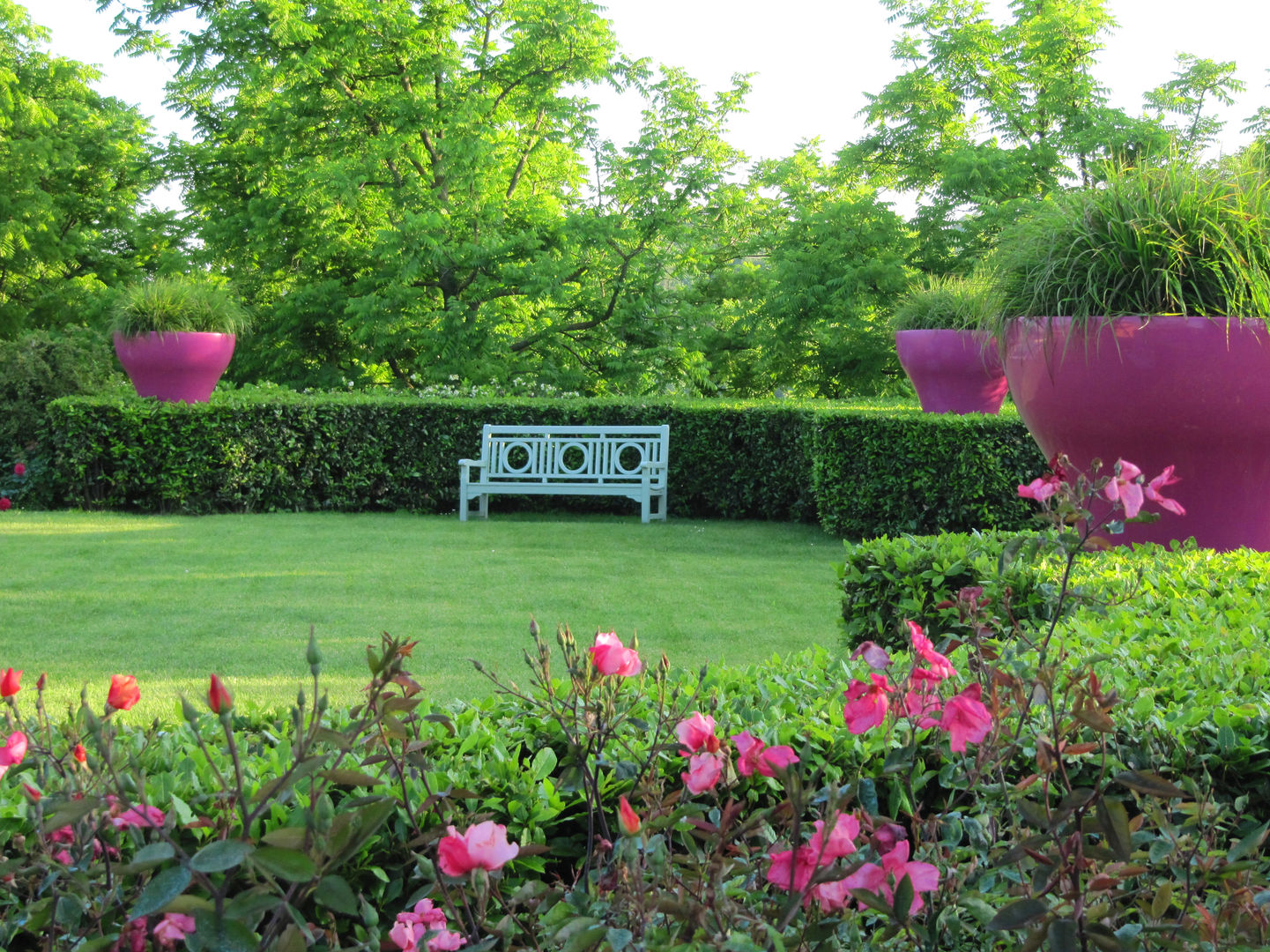 ACCENTI FUCSIA, MASSIMO SEMOLA Architettura del Verde MASSIMO SEMOLA Architettura del Verde Jardins modernos