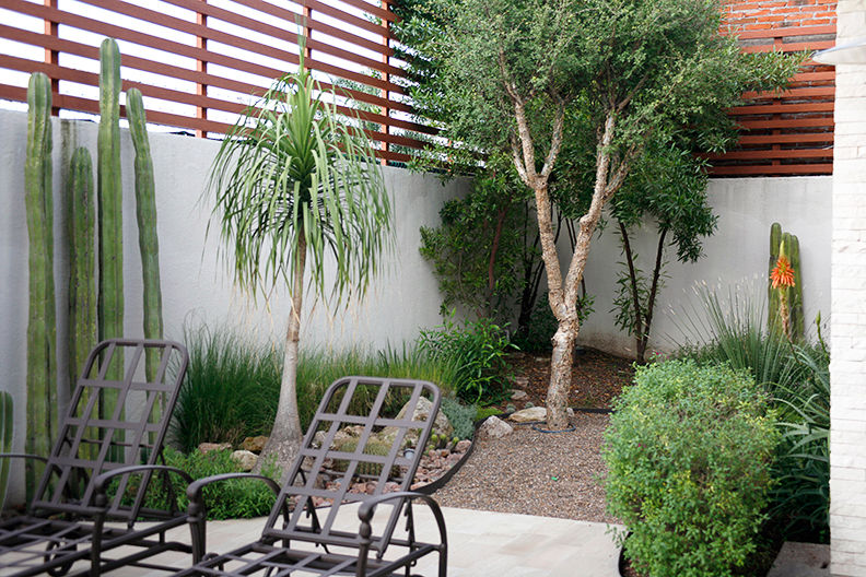 Vista del área oriente desde la terraza. Hábitas Jardines con piedras