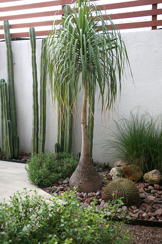 Campestre 545, Querétaro., Hábitas Hábitas Jardin de rocaille