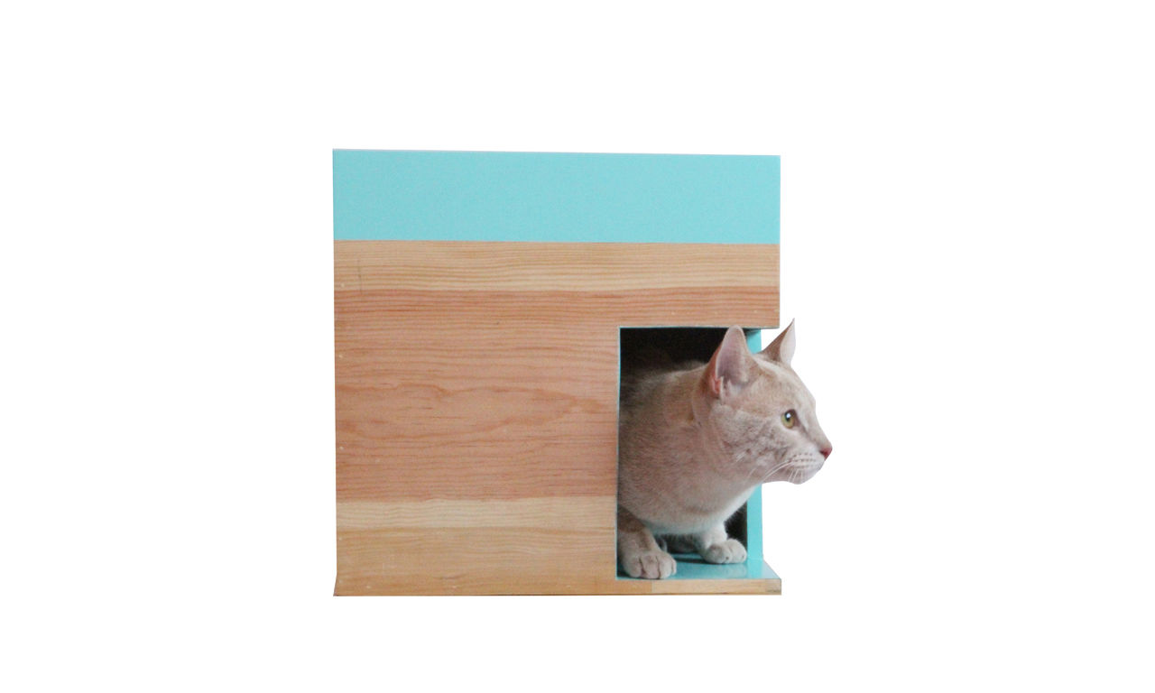 Mobiliario Pet Friendly, Estudio Raya Estudio Raya Other spaces Pet accessories