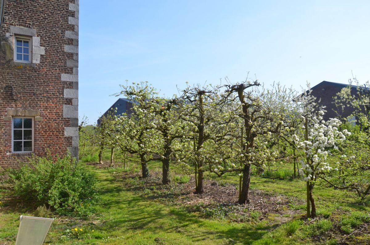 ​Interieurontwerp hoeve Cortenbach, Voerendaal, Ontwerpbureau Op den Kamp Ontwerpbureau Op den Kamp Jardines japoneses