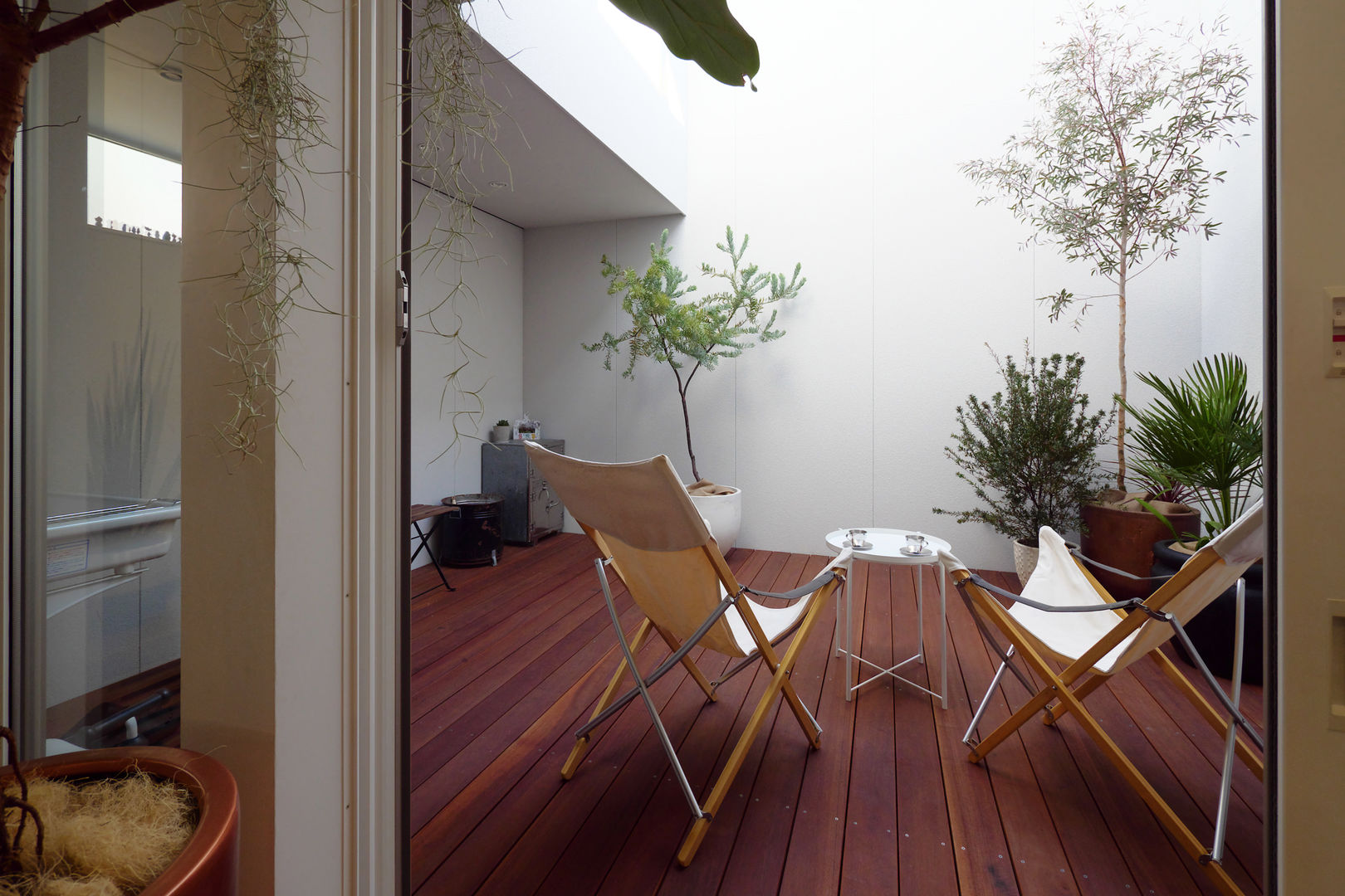東向き間口4.5間 回遊できるパッシブコートハウス, タイコーアーキテクト タイコーアーキテクト Modern garden