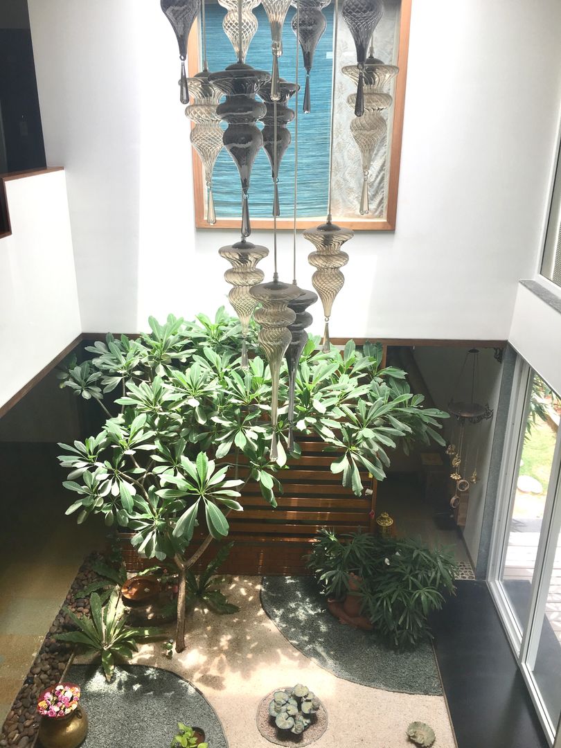 homify Taman Minimalis Batu Plants & flowers