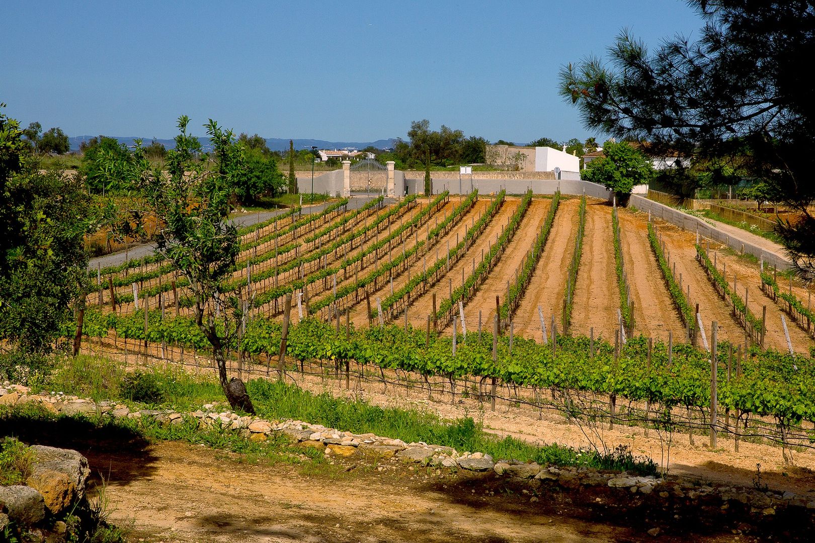 Quinta em Carvoeiro, Jardíssimo Jardíssimo Vorgarten