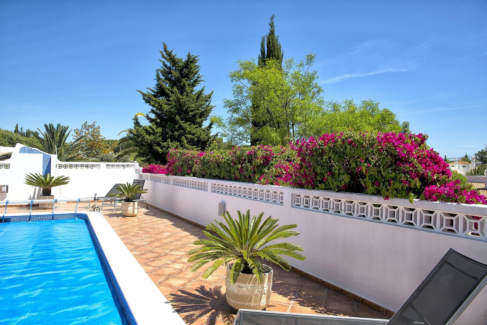 Jardim Contemporâneo com Áreas Espaçosas Jardíssimo Jardins de fachadas de casas