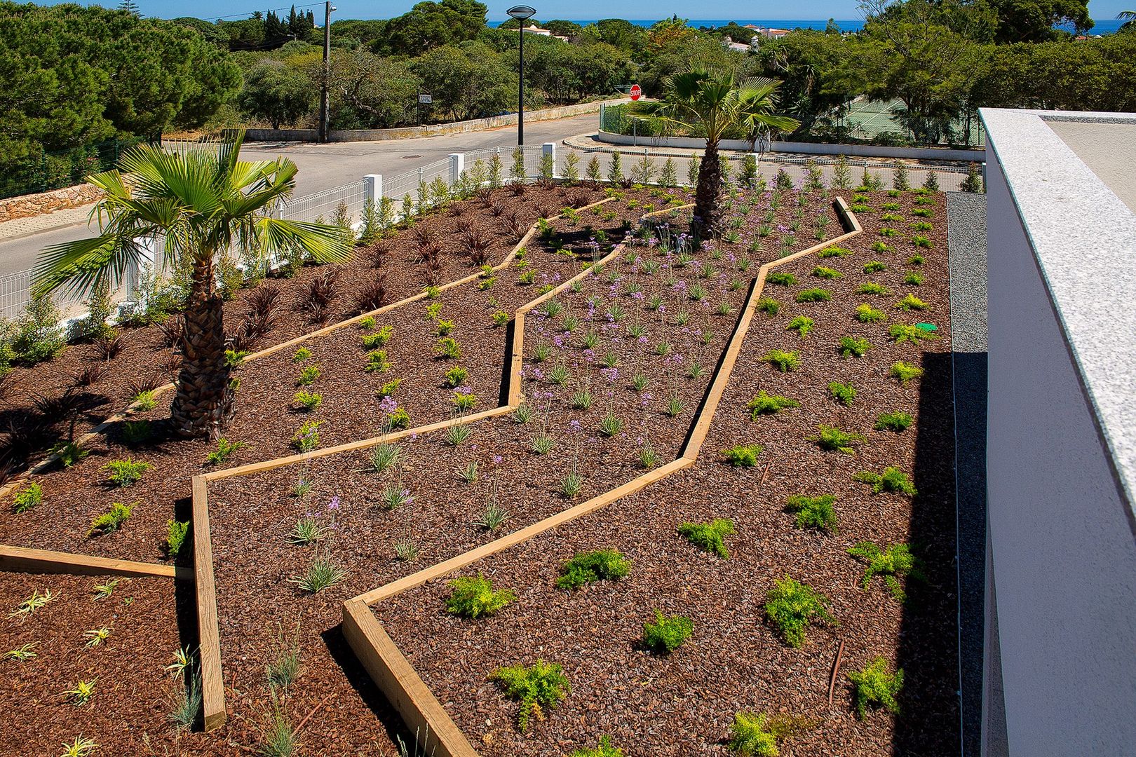 Moradia Moderna com Jardim Contemporâneo Jardíssimo Jardins de fachadas de casas