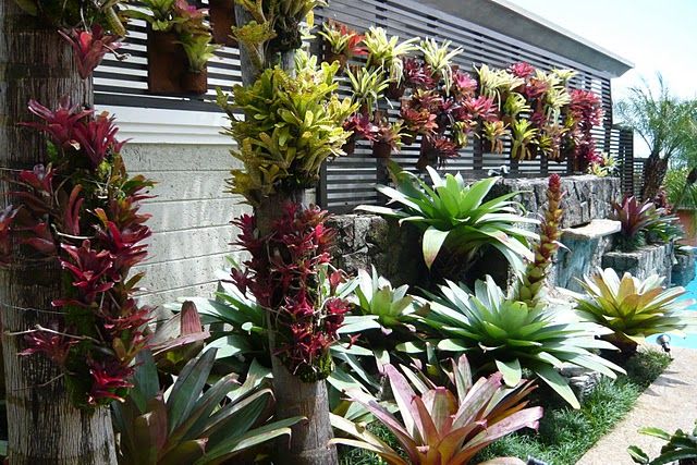 Jardim em Florianópolis, Raul Hilgert Arquitetura de Exteriores Raul Hilgert Arquitetura de Exteriores Jardines frontales