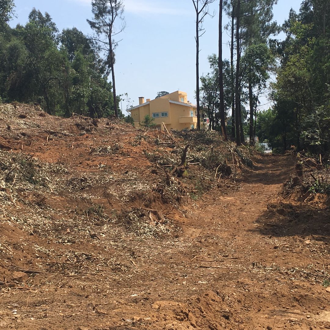 Limpeza de terrenos, Viveiros da Boa Nova, Lda Viveiros da Boa Nova, Lda