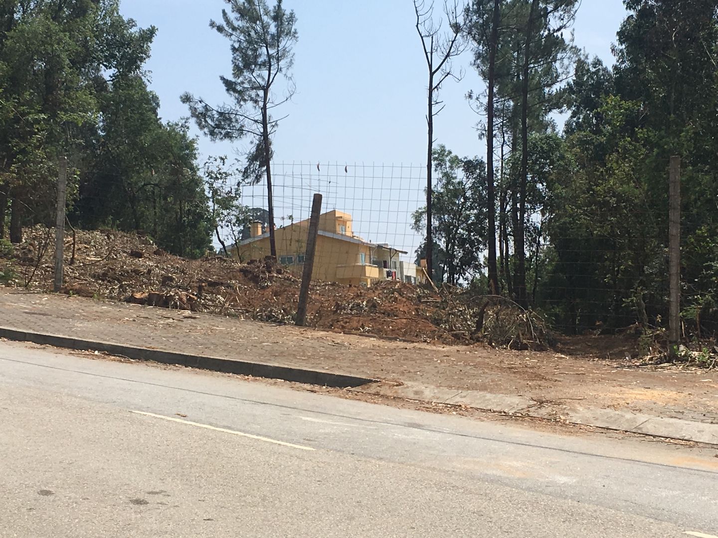 Limpeza de terrenos, Viveiros da Boa Nova, Lda Viveiros da Boa Nova, Lda