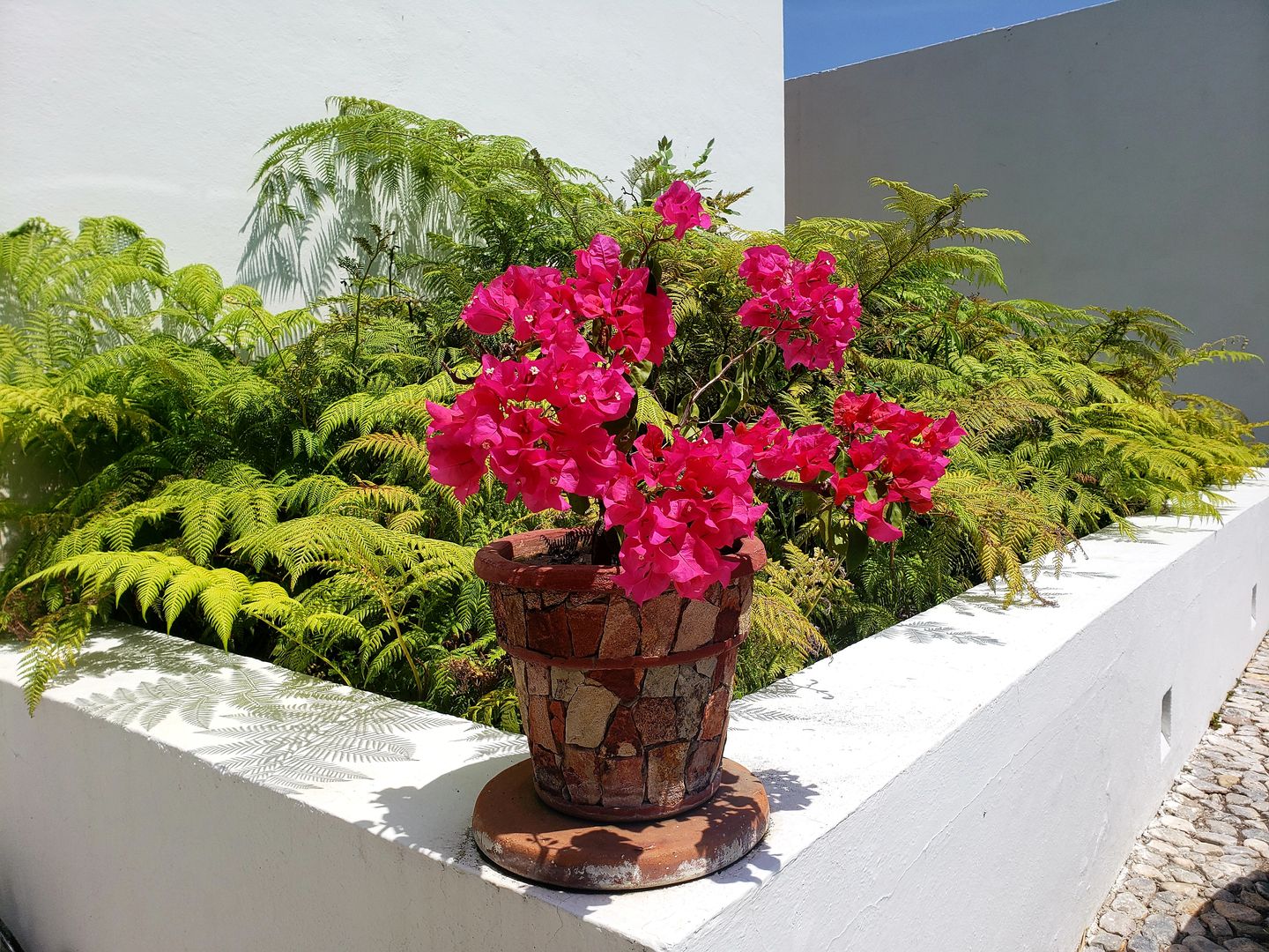 casa co-ti, Daniel Cota Arquitectura | Despacho de arquitectos | Cancún Daniel Cota Arquitectura | Despacho de arquitectos | Cancún Detached home Bricks