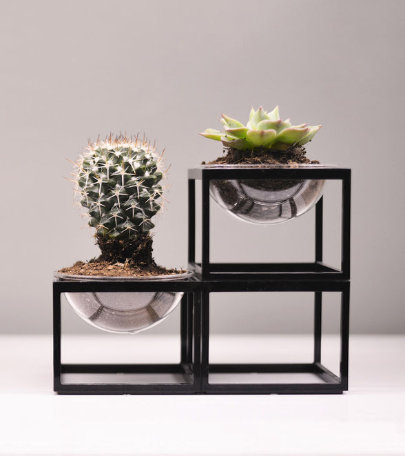 PLANET WITHOUT THE E - MINI PLANTER SET, Studio Maiden Studio Maiden Commercial spaces Office spaces & stores