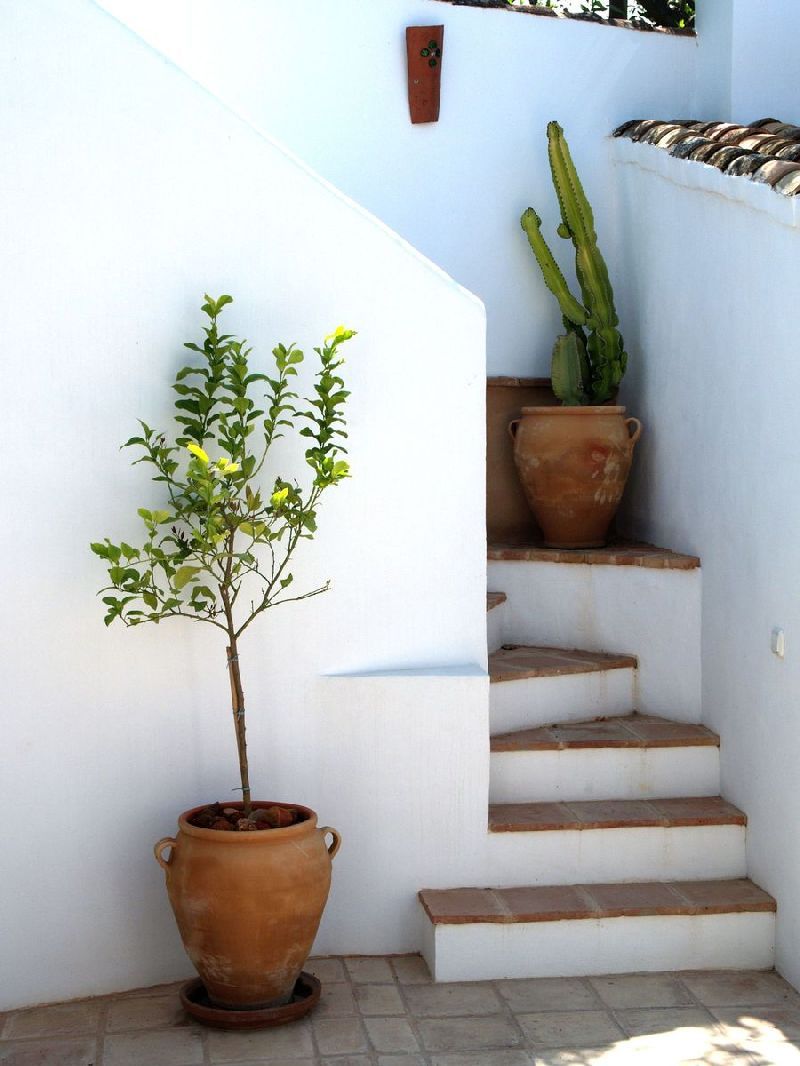 Casa en Melegís, Mirasur Proyectos S.L. Mirasur Proyectos S.L. Stairs