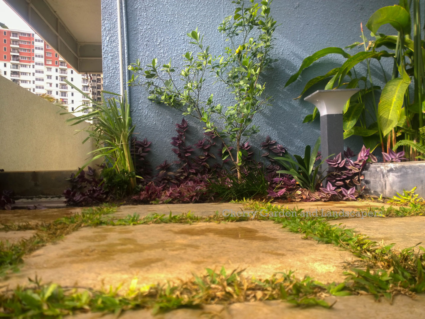 homify Jardins tropicais