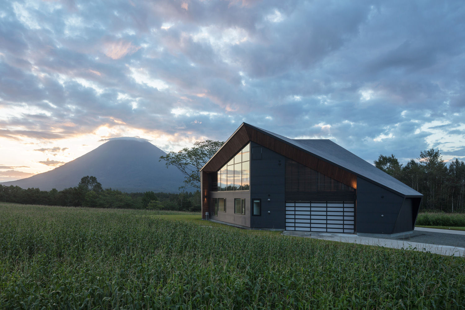 TSUBASA, ヒココニシアーキテクチュア株式会社 ヒココニシアーキテクチュア株式会社 Modern houses Wood Wood effect