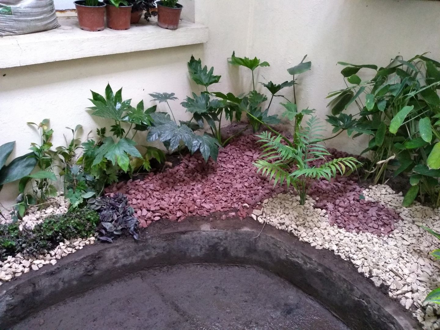 Patio interior Hospital Lucio Córdoba, Naturae EIRL Naturae EIRL بيت زجاجي