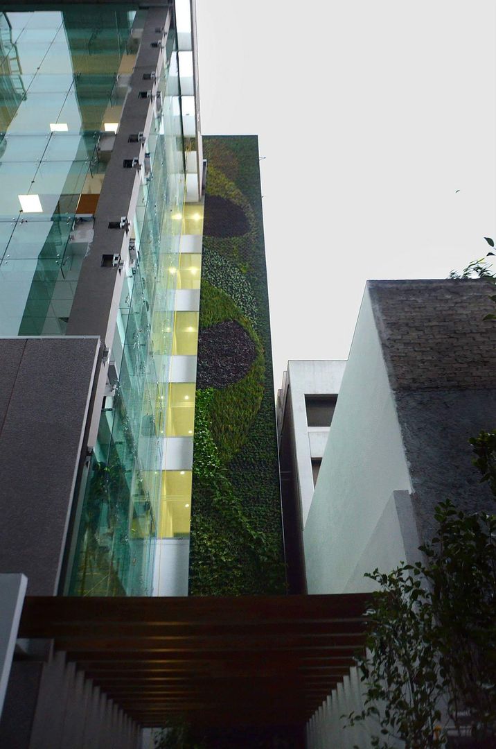 Muros Verdes, Designo Arquitectos Designo Arquitectos Bedrijfsruimten Bamboe Groen Kantoorgebouwen