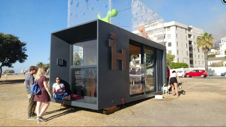 Container - Mobile Dog Adoption Centre in Cape Town, Container Rental and Sales (Pty) Ltd Container Rental and Sales (Pty) Ltd Gewerbeflächen Ladenflächen