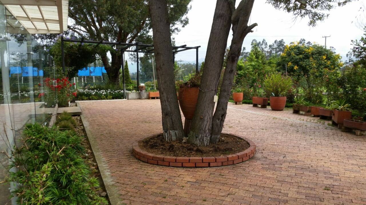 Remodelación de Pescadero, Artekpro Artekpro Jardines de estilo tropical