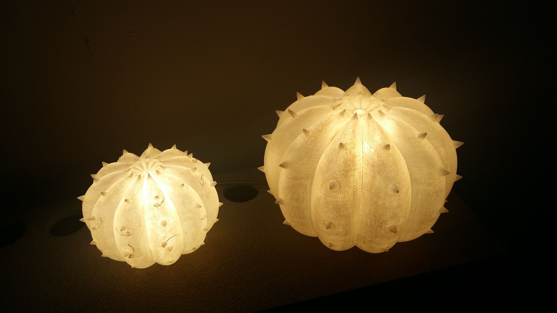 Echinocactus lampada, linea ​Desert Light, SeFa Design by nature SeFa Design by nature 에클레틱 주택 천연 섬유 베이지 Accessories & decoration