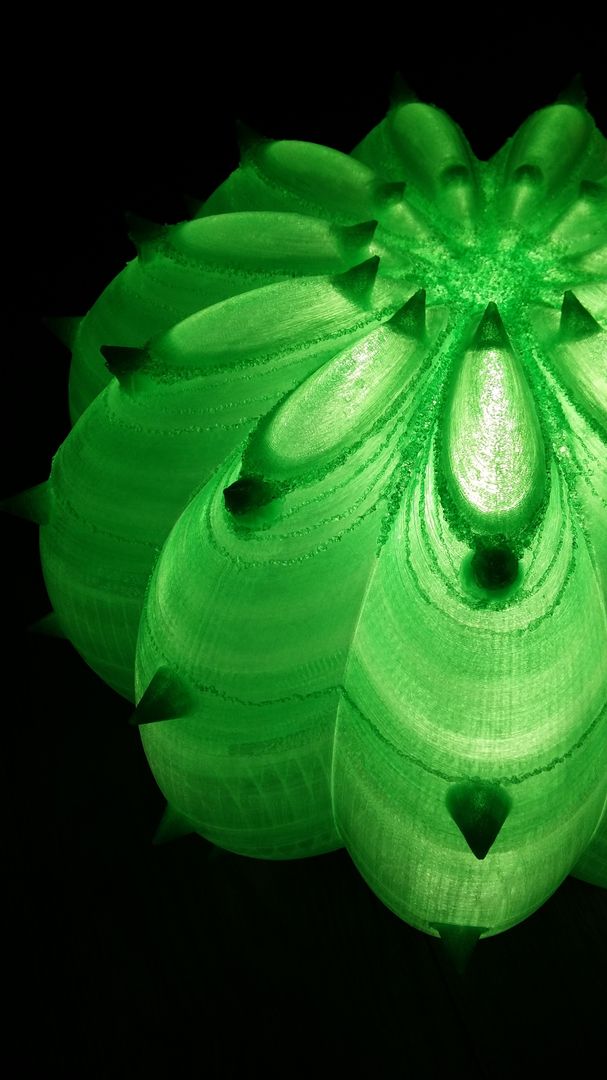 Echinocactus lampada, linea ​Desert Light, SeFa Design by nature SeFa Design by nature Eclectic style houses Natural Fibre Beige Accessories & decoration