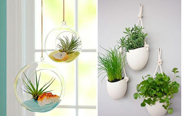 Ideas para decorar con plantas Decopot.es Paredes y pisos modernos