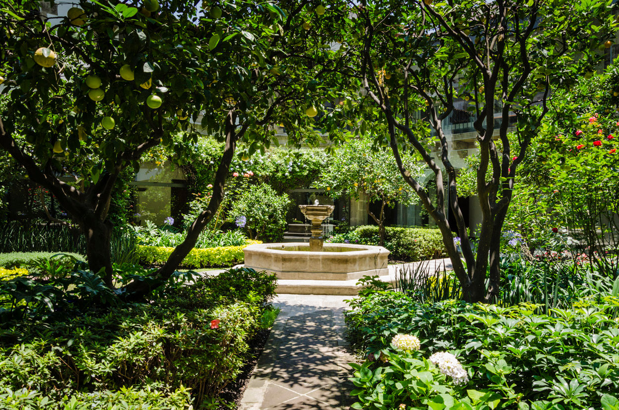 Be Grand Park San Angel, IDEA Asociados IDEA Asociados Modern garden