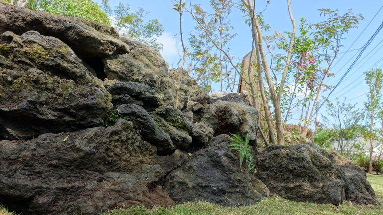 伊豆 大室山高原 別荘地のお庭, 庭や煌久 庭や煌久