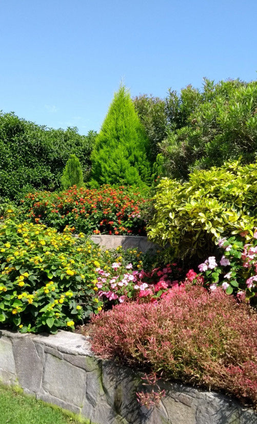 Paisajismo Campo-Playa, Lima Perú, DECOGARDEN: PAISAJISMO Y JARDINERÍA DECOGARDEN: PAISAJISMO Y JARDINERÍA Vườn phong cách nhiệt đới