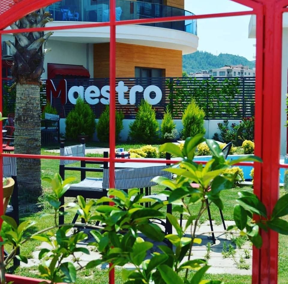 MAESTRO COFFEE TASARIMI, SKY İç Mimarlık & Mimarlık Tasarım Stüdyosu SKY İç Mimarlık & Mimarlık Tasarım Stüdyosu Binnentuin Binnenbeplanting