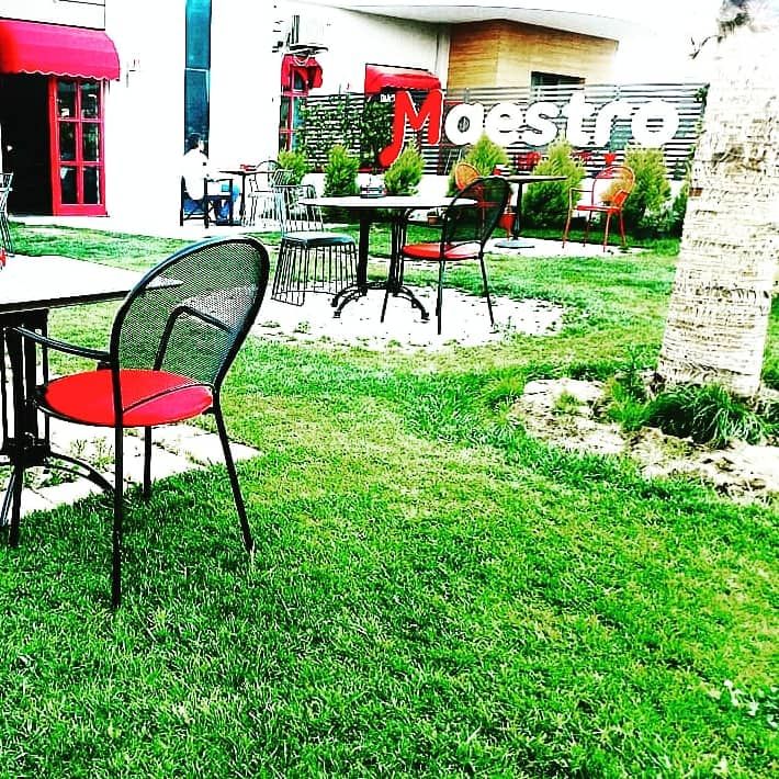 MAESTRO COFFEE TASARIMI, SKY İç Mimarlık & Mimarlık Tasarım Stüdyosu SKY İç Mimarlık & Mimarlık Tasarım Stüdyosu Interior garden Interior landscaping