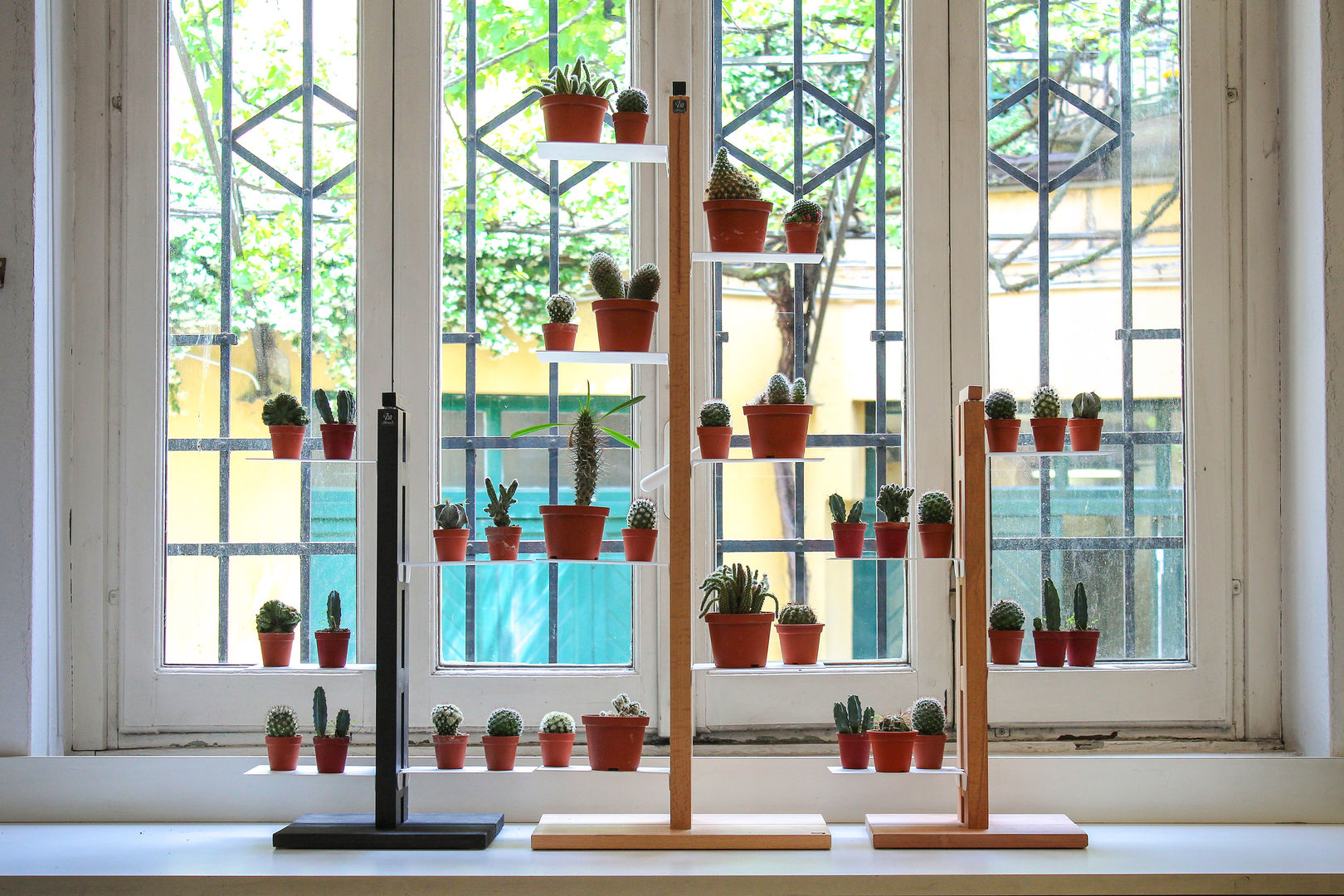 Le Zie a casa vostra, Le zie di Milano Le zie di Milano Jardim interior Madeira maciça Multicolor Paisagismo de interior