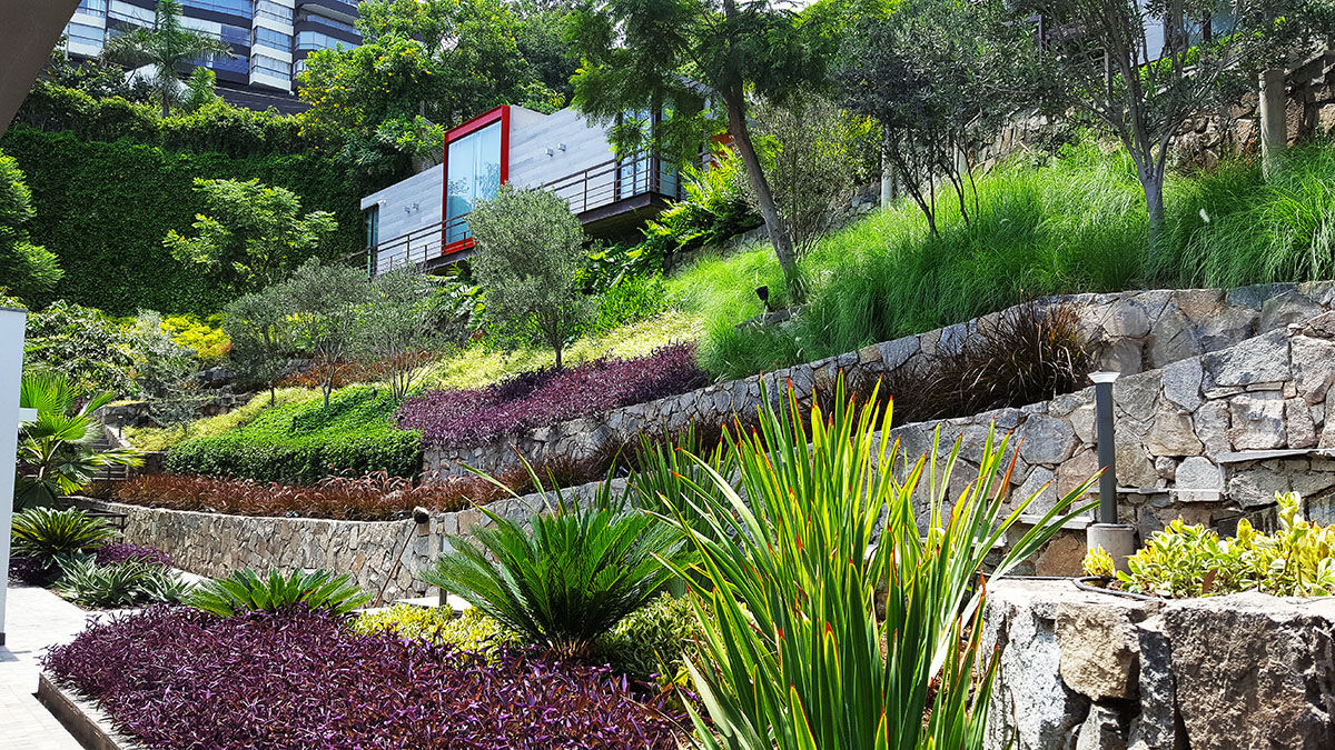 Un jardín donde el cliente se pueda sentir en un oasis particular., Marcia Lenz Paisajismo Marcia Lenz Paisajismo モダンな庭