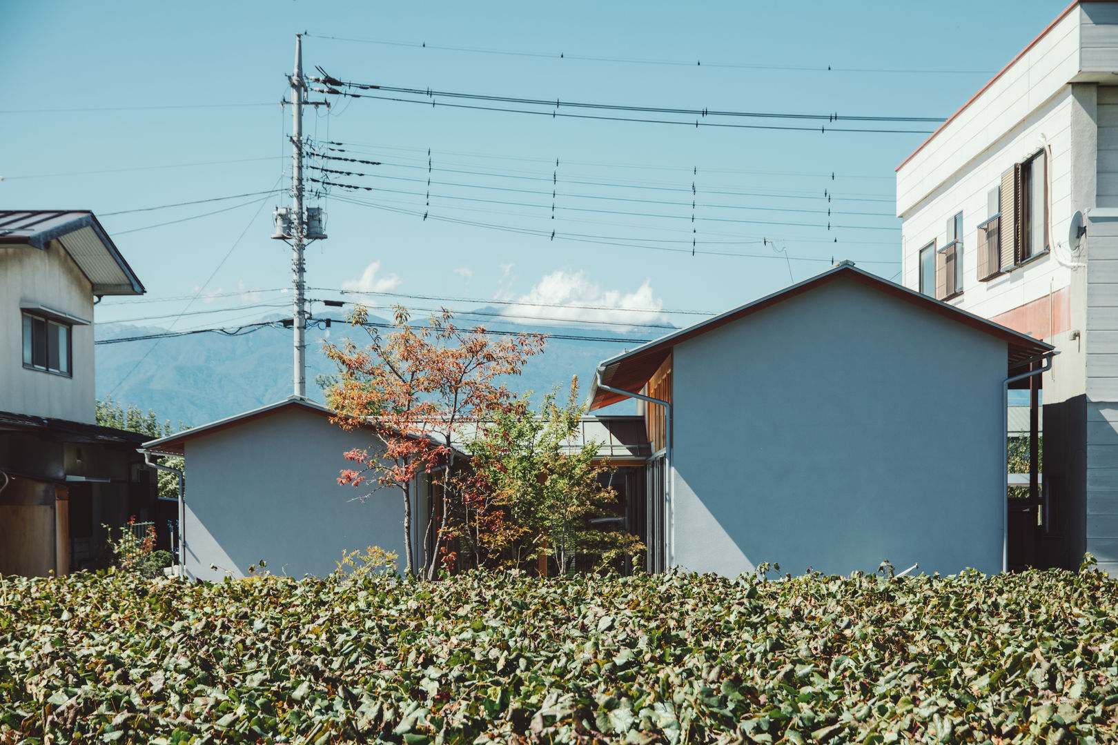 倉のある家, 稲山貴則 建築設計事務所 稲山貴則 建築設計事務所 Casas de madera Madera maciza Multicolor